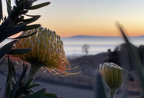 Views & Scenes, 1st Place - Benjamin Mati