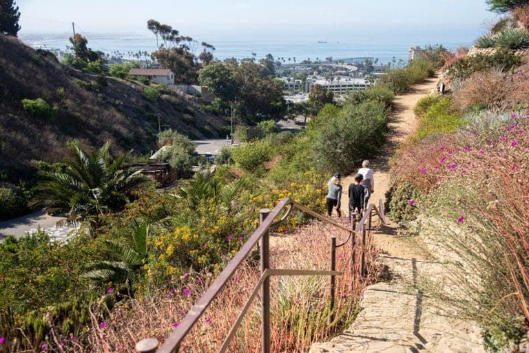 A group of people walk down a stone path on a hillside, overlooking a coastal area with lush greenery and ocean in the background, capturing the vibrant spirit of the In Bloom Contest.