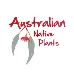 Logo with the text Australian Native Plants above a stylized drawing of two eucalyptus leaves and a red eucalyptus flower, inspired by the beauty of Ventura Botanical Gardens and perfect for Flower Show displays.