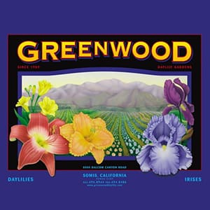 Greenwood Daylily Gardens (logo)