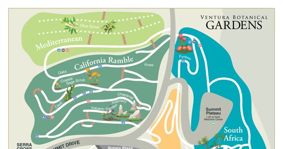 Section of a Ventura Botanical Gardens map showing labeled areas: Mediterranean, California Ramble, South Africa, and surrounding walking paths and features.