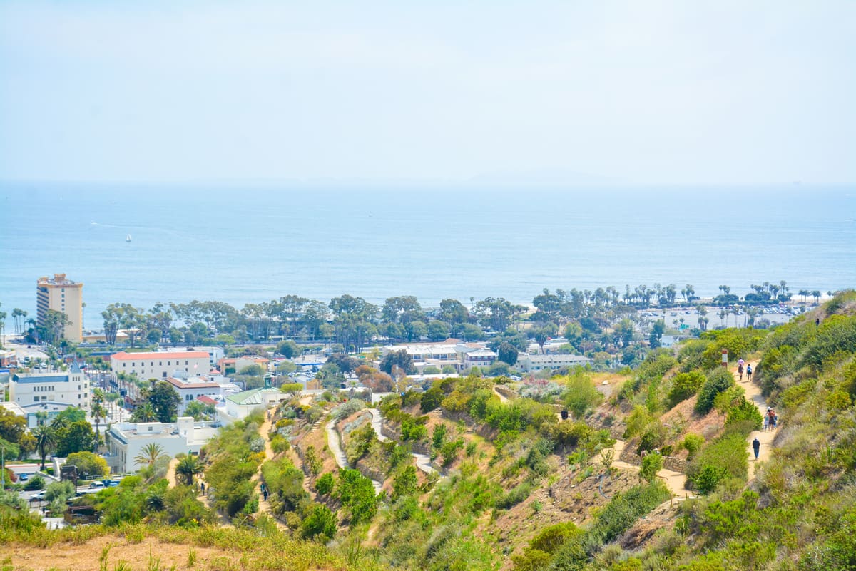A coastal city view with buildings near the shoreline, trees in bloom, and walking trails on a hillside leading down to the ocean under a clear sky—capturing the spirit of the In Bloom Contest.