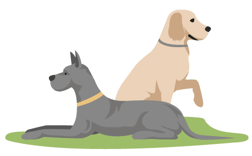 Illustration of a gray dog lying down and a beige dog sitting upright beside it on a patch of green grass, capturing the warmth and comfort of home.