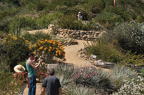 A lush botanical garden with visitors enjoying the vibrant blooms and scenic landscape.