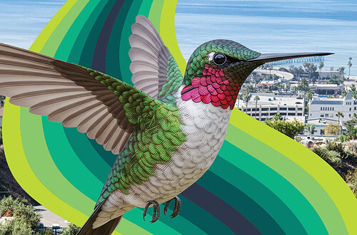 A hummingbird with vibrant green, pink, and white feathers flying over a scenic garden and cityscape.