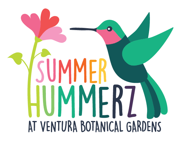 A colorful illustration of a hummingbird and flowers with the text "Summer Hummerz at Ventura Botani.