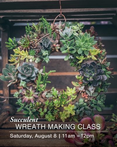 Colorful succulent wreath made with various green and purple plants for class.