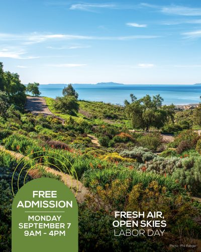 Scenic view of Ventura Botanical Gardens with lush greenery and ocean in background.