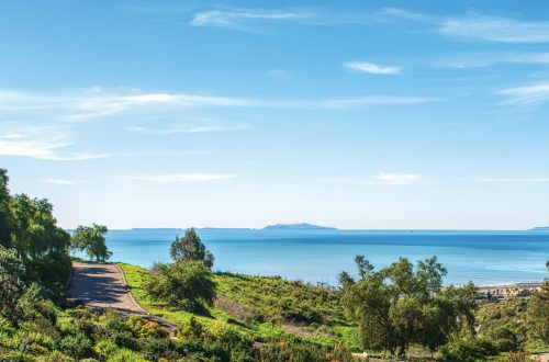 Scenic view of Ventura Botanical Gardens with lush greenery and ocean in background.