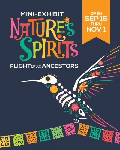 Colorful hummingbird illustration for Nature's Spirits exhibit at Ventura Botanical Gardens.