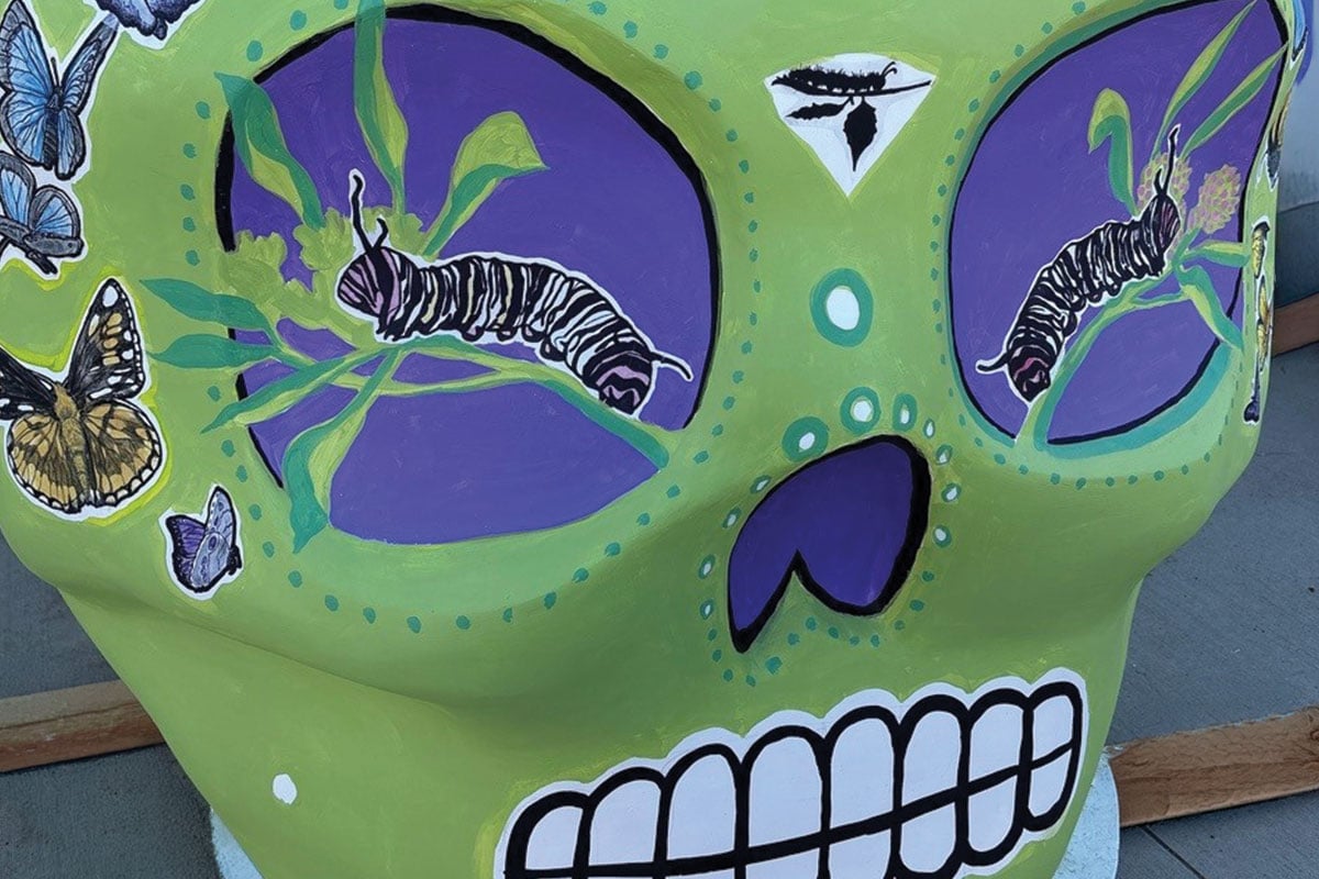 Colorful painted skull with caterpillars and butterflies at Ventura Botanical Gardens.