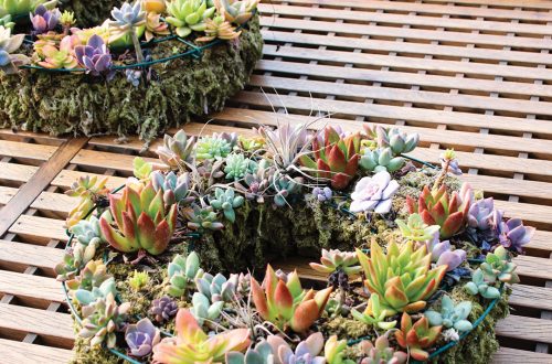 Wreath made of succulents.