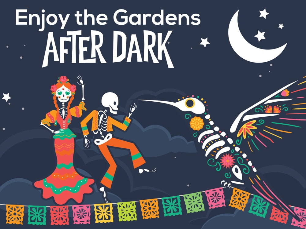 VBG_NaturesSpirits_After_Dark