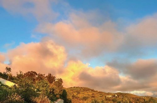 Scenic view of Ventura Botanical Gardens with sunset sky and lush greenery.